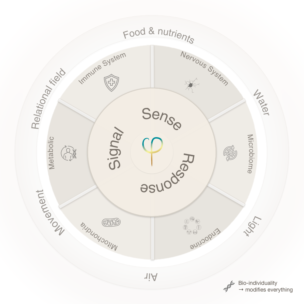 Diagram showing the Signal → Sense → Respond cycle of biological regulation, illustrating how the body processes information from the environment