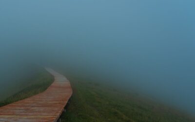 Health Is Not a Target — It’s a Relationship