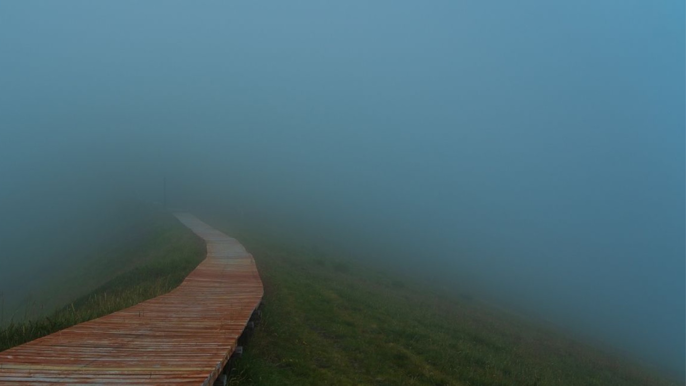 Wooden path disappearing into mist over a grassy landscape