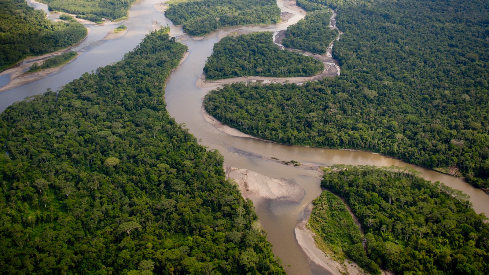 An aerial view of a winding river weaving through a dense green forest.